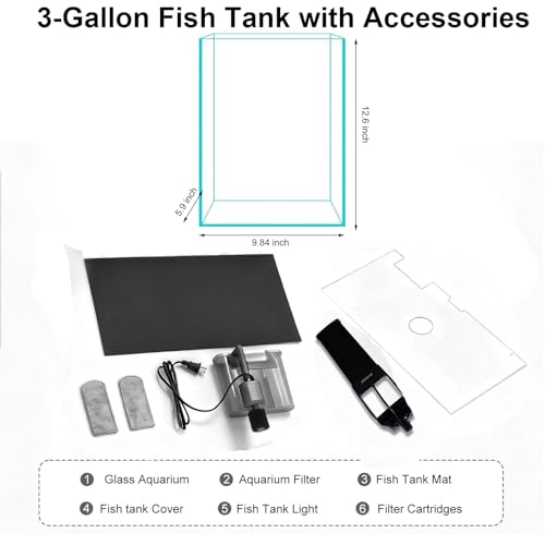 3 Gallon Glass Fish Tank with Filter and Light, Small Betta Aquariums Starter Kit. - size: 3 Gallon