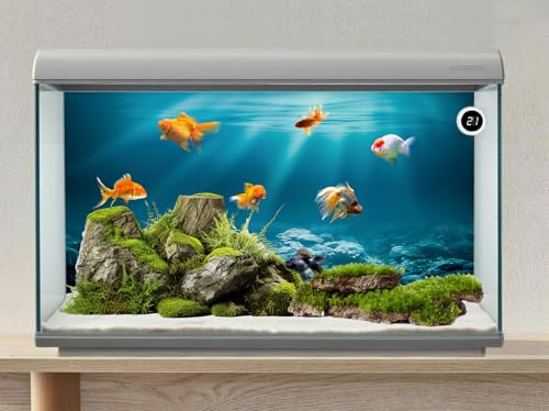 24X12 Inch Sunlit Underwater World Aquarium Backdrop - Vibrant Undersea Theme Fish Tank Background Durable Polyester Marine Decor - size: 24X12in