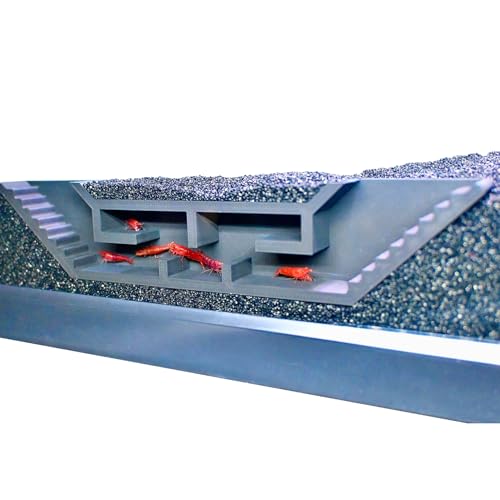 Shrimp Cave Underground Maze Tunnel | Viewing Shrimp Freshwater Hide Tunnel | Aquarium Shrimp Breeding Cave Perfect for Small Shrimp, Cherry Shrimp, Dwarf Shrimp - color: Black