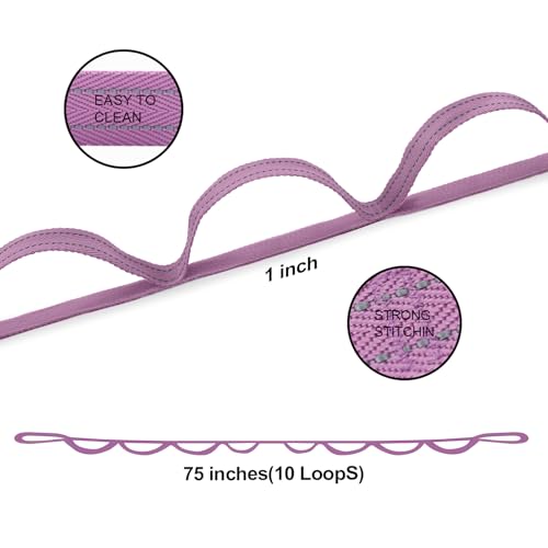 A AZURELIFE Premium Durable Stretch Straps with Loops, Stretching Strap for Physical Therapy, Multi-Loop Yoga Strap Fitness Exercise Strap for Yoga, Pilates, Dance, Flexibility&Exercise - color: #2-Purple