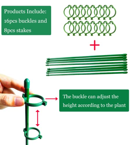 Belit 8 Pack Small Plant Support Plant Stakes, Adjustable Garden Single Stem Support Stake, Planter Support Ring for Orchid, Rose, Peony, Peppers and More, 12 inch - size: 11.8 Inch