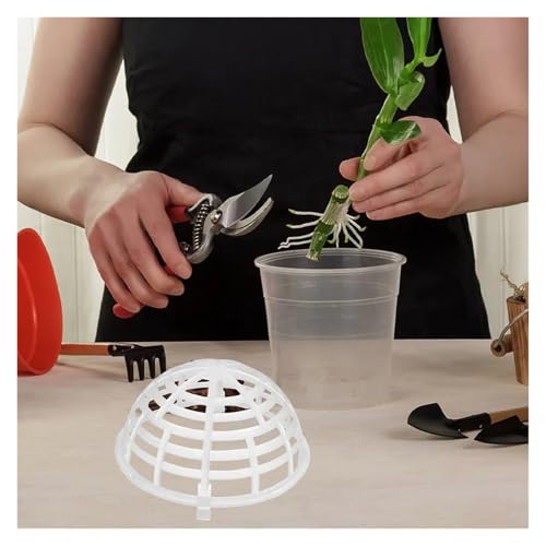 10 Pcs Water Plant Floating Balls Aquarium Moss Holders for Fish Tanks Reusable Aquatic with Natural Greenery