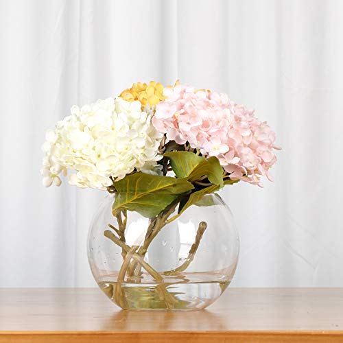 WGV Bowl Glass Vase, Diameter 10", Height 8", Open Width 6", (Multiple Sizes Choices) Clear Bubble Planter Terrarium Fish Bowl for Wedding Event Home Decor, 1 Piece (VBW0010) - size: 10"D 1 Piece