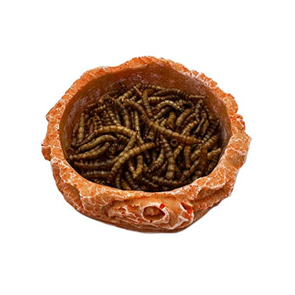 Small Reptile Water Dish Food Bowls, 2 Pack Reptile Feeding Dish for Hermit Crab Bearded Dragon Lizard Leopard Gecko Tortoise Frog
