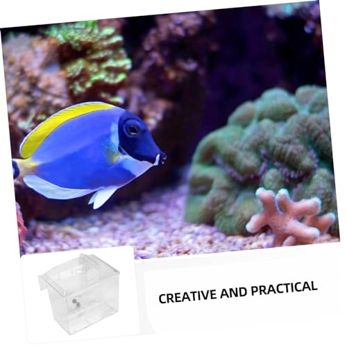 Toddmomy 1pc Fish Breeding Box Aquarium Isolation Case External Hanging Design for Breeding Acclimation Premium Fish Tank Accessory