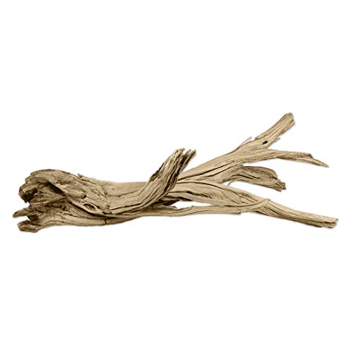 Koyal Wholesale 24" Driftwood Terrarium Decor, Clean California Manzanita Drift Wood Reptile Decor, Driftwood Decor for Home, Desert Reptile Supplies
