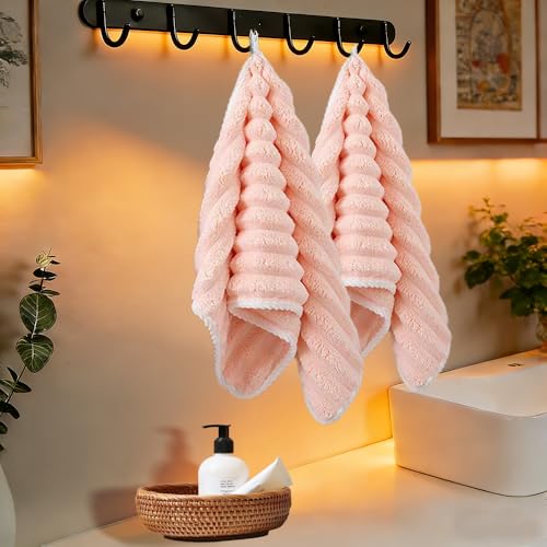 2Pcs Premium Coral Velvet Hand Towels Set, Microfiber Hand Towels with Hanging Loop, Soft Small Towel, Coral Velvet Towel Set for Kitchen, Bathroom, Hotel, and Spa (Pink, 12"X24") - color: 2pcs Pink