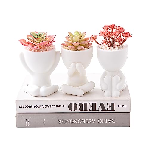 HEYO-YEPY 3PCS Cute Artificial Plant Office Decor for Women and Men, Aesthetic Desk Plant Decor for Office and Home, Potted Small Fake Plants for Indoor Decoration, White Pots Pink Plants - color: 3 Pcs Set, White Pots Pink Plant