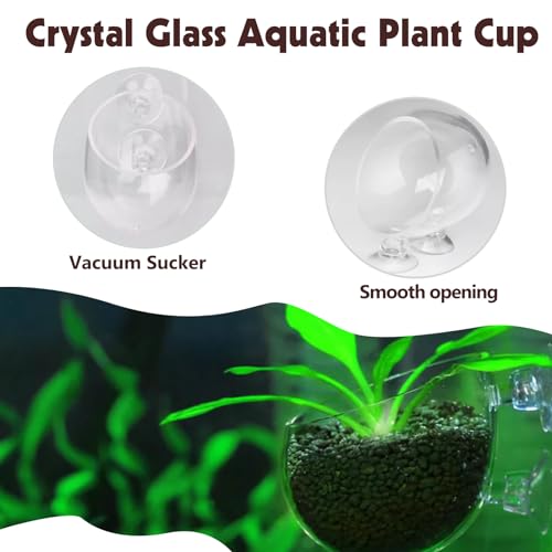 6 Pieces Aquarium Plant Holder Pot Aquarium Decor Crystal Glass Aquatic Plant Cup with Suction Cups Aquarium Fish Tank Decorations
