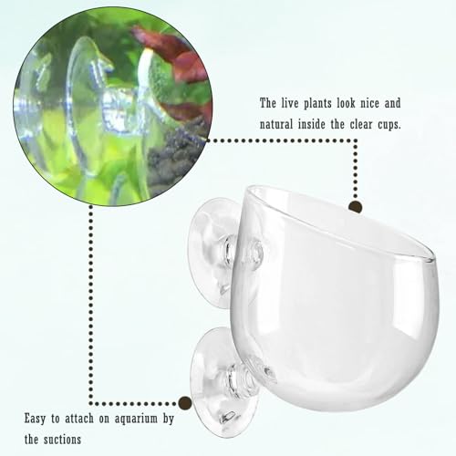 WHJY Transparent Glass Round Aquarium Suction Cups - Plant Holder, Fish Tank Decor - Set of 4