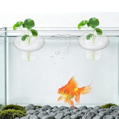 5Set Floating Aquarium Plant Holder, Aquatic Plants Cup with White Foam Floating Ring, Aquarium Planting Baskets, Fish Tank Plant Holders for Aquatic Plant Cultivation and Aquascape Decoration