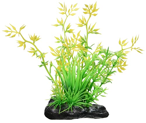 Nissau Little Garden Mini5