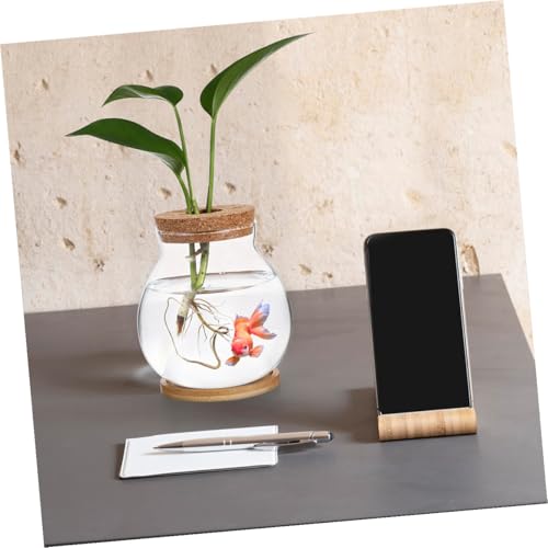 VICASKY Small Glass Fish Bowl with Lid and Mat, 10x11cm Hydroponic Mini Betta Fish Tank, Compact Terrarium Jar for Desktop Aquarium and Home Decor