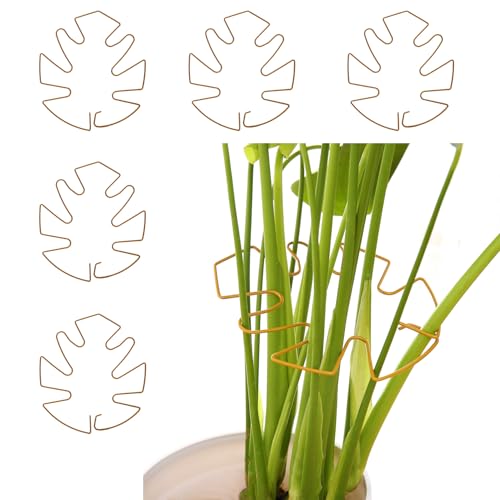 Spiritlele 5 Pcs Golden Plant Stem Support Holder Set Monstera Plant Support Clamp Growth Accessories for Indoor Plants Small - color: Golden, size: 5.5x5.1inch
