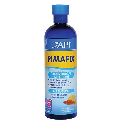 API PIMAFIX Antifungal Freshwater and Saltwater Fish Remedy 16-Ounce Bottle - size: 16-Ounce