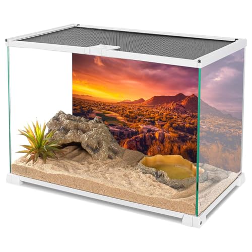 AWERT 72x16 inches Sun and Desert Terrarium Background Mountain Oasis Gobi Reptile Habitat Background Vinyl