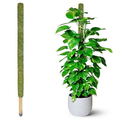 59’’ Large Green Mesh Moss Pole Monstera Plant Support, Tall Plant Stakes, Moss Pole for Plants Monstera, Garden Pole, Moisture Stick for Plants (1pc., 59''), Natural