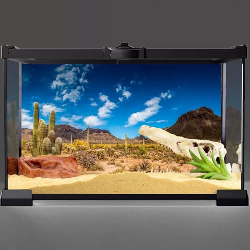 AWERT 36x24 inches Reptile Habitat Background Blue Sky Oasis Cactus Desert Terrarium Background Vinyl - size: 36x24in/90x60cm