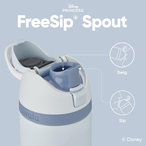 Owala Princess FreeSip Stainless Steel Water Bottle 24 oz Cinderella - color: Cinderella, size: 24 Ounces