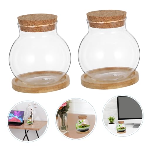 Desktop Hydroponic Fish Bowls Glass Propagation Vases with Mat for Betta Fish Plant Display for Home Office Decor for Plant Lovers