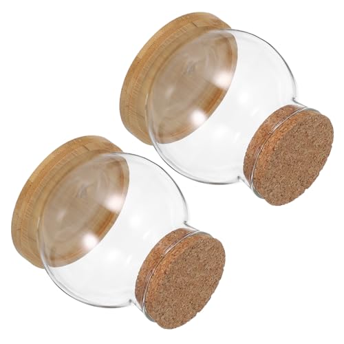 Desktop Hydroponic Fish Bowls Glass Propagation Vases with Mat for Betta Fish Plant Display for Home Office Decor for Plant Lovers