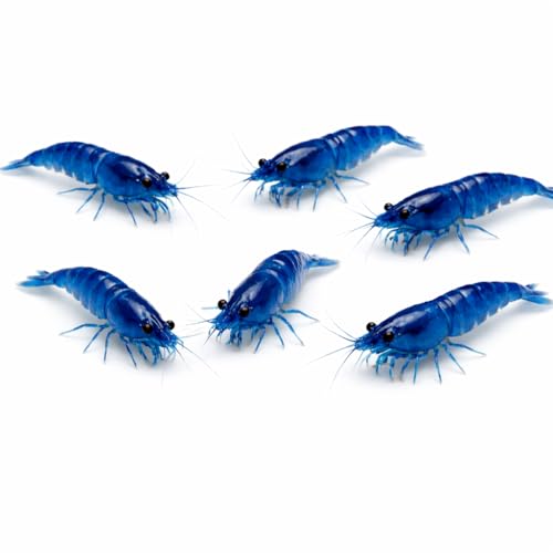 15+ Blue Dream Supreme Gene Shrimps Live Freshwater Neocaridina Shrimp for Aquarium, Live Arrival Guarantee - color: Blue, size: 15