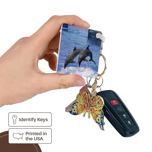 3dRose, Two dolphins finishing a dive together at Oceanographic Aquarium in Valencia, Spain, Key Chain