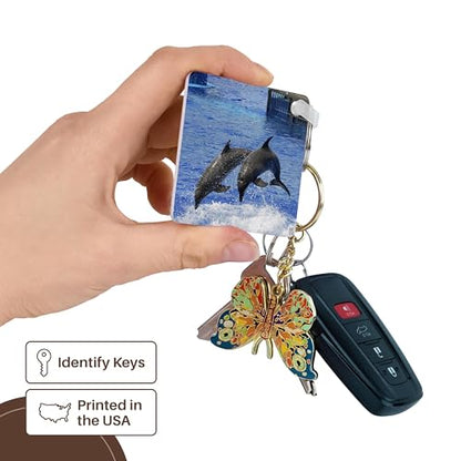 3dRose, Two dolphins finishing a dive together at Oceanographic Aquarium in Valencia, Spain, Key Chain
