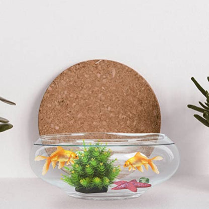 GANAZONO Glass Fish Bowl 9.84X9.84X3.93In Clear Desktop Aquarium Tank Hydroponic Plant Pot for Home Office Garden Wedding Decoration