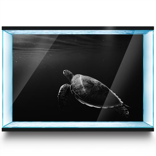 Aquarium Background Stickers - Turtle Water Black Self-Adhesive Fish Tank Reptile Terrarium Decor Poster (60 x 30 cm / (23.6 x 11.8 inches)) - size: 60 x 30 cm / (23.6 x 11.8 inches)