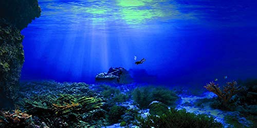 Seabed Wreck Aquarium Background Poster HD Fish Tank Decorations Landscape Backdrop (60" x 24"/ 152 x 61cm) - size: 60" x 24"/ 152 x 61cm