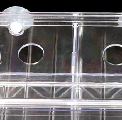 Breeder Box for Fish Tank, Transparent Floating Acclimation Hatching Incubator Box with Suction Cups, for Shrimp Guppy Platy Nursery, Hotel Lobby pet Store Cafe Aquarium Decor