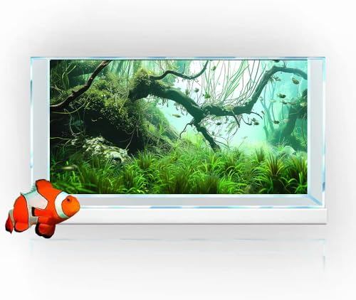 48X24IN Natural Submerged Forest Background Aquarium Background, 3D Image of Underwater Fish Tank Decoration, Greenery with 10 EVA Double-Sided Tape ﻿