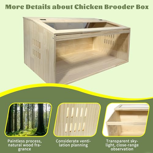 20-Piece Large Chicken Brooder Box, All-in-One Kit Brooder Box, Brooder for Chicks, Quail, Hamsters, Up to 35 Chicks Capacity, Pattern B, 31.5" L x 15.7" W x 15.7" H - size: 31.5"L x 15.8"W x 15.8"H
