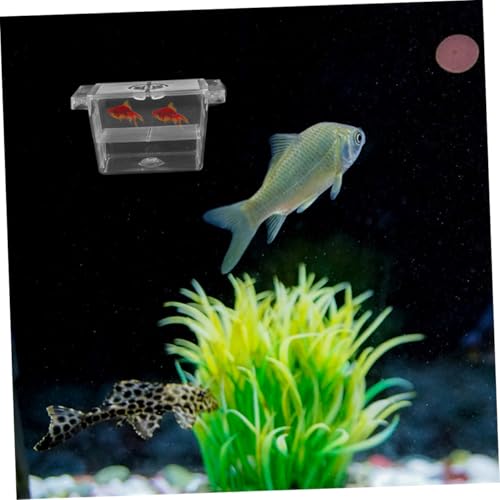 Toyvian 4PCS Double-Layer Self-Floating Betta Fish Breeding Box Incubator for Fish Fry Easy Observation Space-Saving Isolation Tank