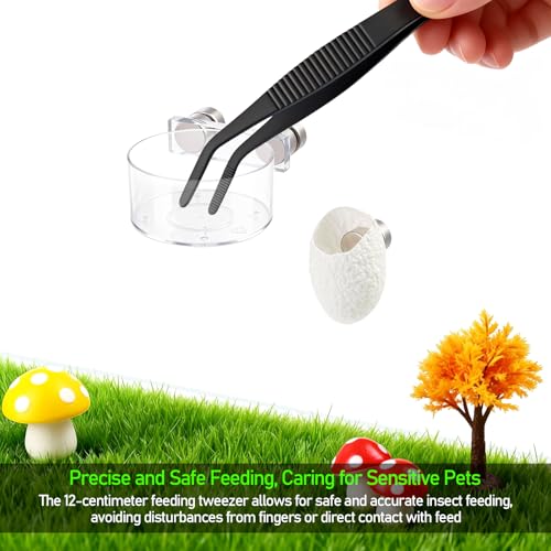 Jumping Spider Feeding Dish Set, Magnetic Water Bowl & Silk Cocoons with Magnets - Reptile Feeding Tongs and Complete Enclosure Accessories Kit