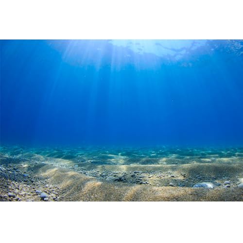 Aquarium Background Undersea Ocean Floor Aquarium Background Mysterious Underwater Sunshine Tropical Fish Tank Background Fish Tank Background Decor Vinyl 24x12in - color: Blue, size: 24(W)x12(H)inches/ 60(W)*30cm(H)