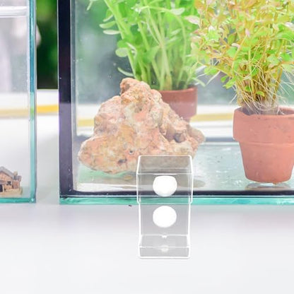 BESPORTBLE Acrylic Fish Feeder with Suction Cup Stationary Feed Tube Anti-Drift Design for Aquarium Fish and Shrimp Feeding Accessory