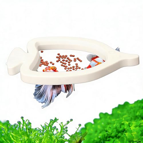 Feeding Ring for Fish Tank | Floating Suction Cup Small Food Feeder,Fish Betta Feeding Ring | for Saltwater Freshwater Tanks Habitats
