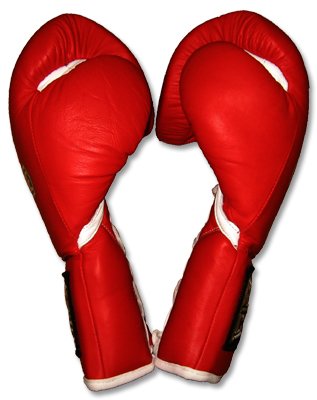 Professional Fight Boxing Gloves - Pro Fight Gloves