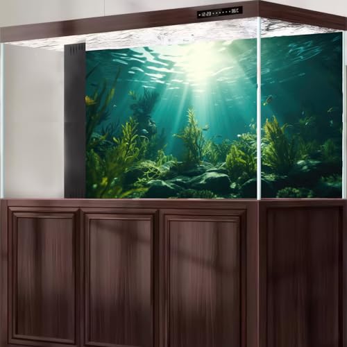 Aquarium Background Underwater Aquatic Plants Rocks Fish Tank Background Tropical Fish Sun Rays Landscapes Terrarium Backgrounds Undersea Rocks Green Seaweeds Reptile Tank Backgrounds Poster 24x16in - color: Green, size: 24(W)x16(H)in