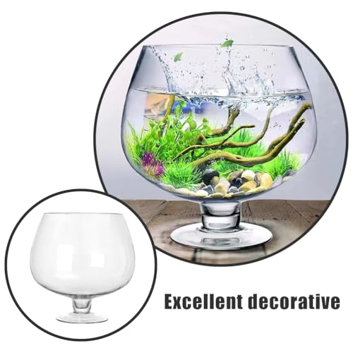 BESPORTBLE Glass Fish Bowl Vase - Clear Bubble Planter Terrarium Fish Bowl Wine Goblet Shaped Vase Transparent Hydroponic Bulb Floral Container