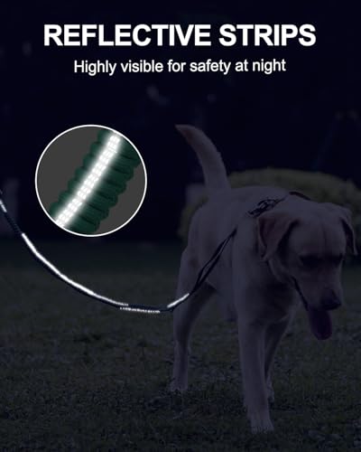 Joytale Tactical Bungee Dog Leash, Shock Absorbing No Pull, Teal - color: Teal