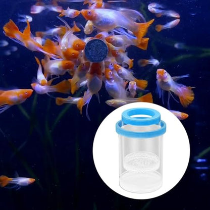 Floating Fish Isolation Box Round Aquarium Hatchery Accessory for Guppy Fish Blue