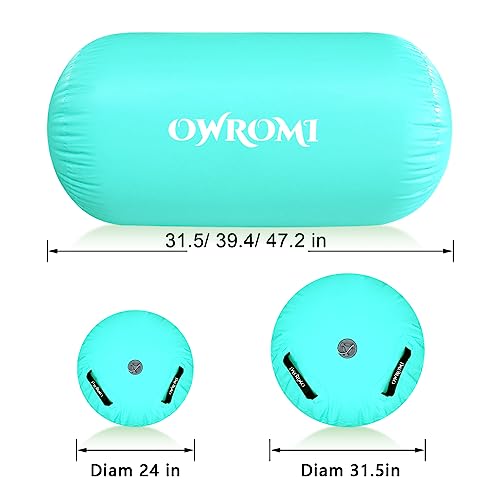 Inflatable Gymnastics Air Mat Tumble Track with Gymnastics Air Barrel - Inflatable Air Spot Tumbler Backbend Trainer Air Roller Tumbling Mat with Electric Pump - color: Green, size: 24 * 31.5in