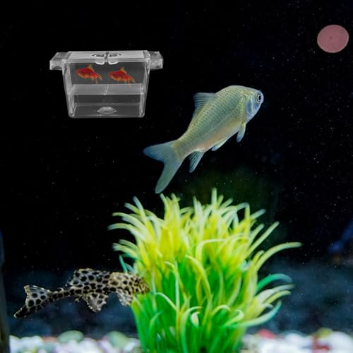 Fish Breeding Box with Divider and Suction Cups Double-Layer Plastic Incubator Tank for Aquarium Betta Fish Nursery and Hatchery Acclimation and Isolation