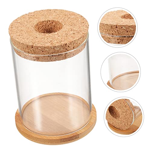 DOITOOL Creative Glass Fish Bowl for Hydroponic Plants Desktop Aquarium for Betta Fish and Multi-Functional Terrarium for Home Decoration and Organization Mat