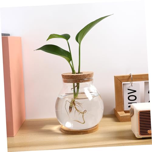 Betta Fish Tank Glass Bowl Lid and Mat for Hydroponic Plants for Desktop Decoration and Small Aquatic Environments