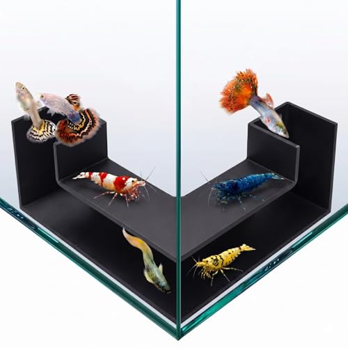 Aquarium Underground Tunnel 5", Dual-Entrance Fish Tank Cave & Aquarium Cave with Clear Viewing Window, ABS Shrimp Hideout, Substrate Buried Decor for Betta, Loaches, Corydoras, Black - color: Style A Black