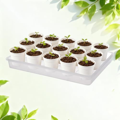 3 Pack Plastic Bonsai Humidity Trays, Rectangle Plant Growing Saucer Water Catcher Drip Tray, Seed Starter Drainage Tray Transparent (11.5x8.3 Inch)